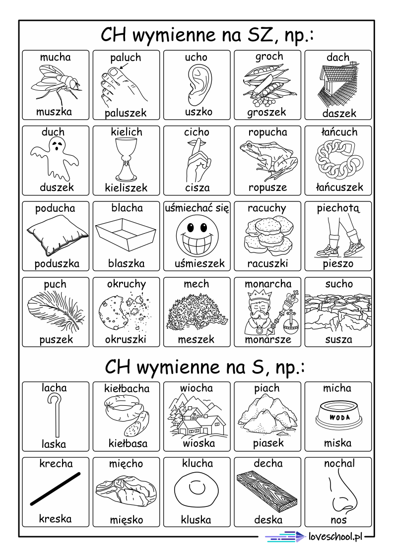 Wyrazy Z Ch Wymiennym Na Sz Ch wymienne na Sz, S