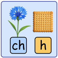 Ćwiczenia interaktywne z "ch" i "h". Ortografia