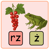 zadania interaktywne z "rz" i "ż". Ćwiczenia ortograficzne
