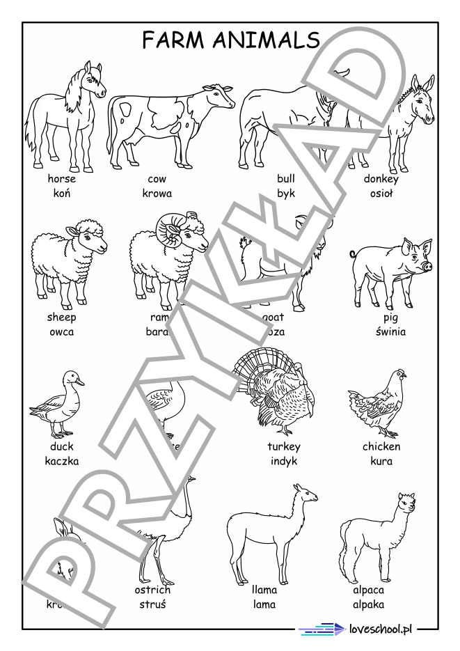 Kolorowanka farm animals nauka słówek po angielsku dla dzieci