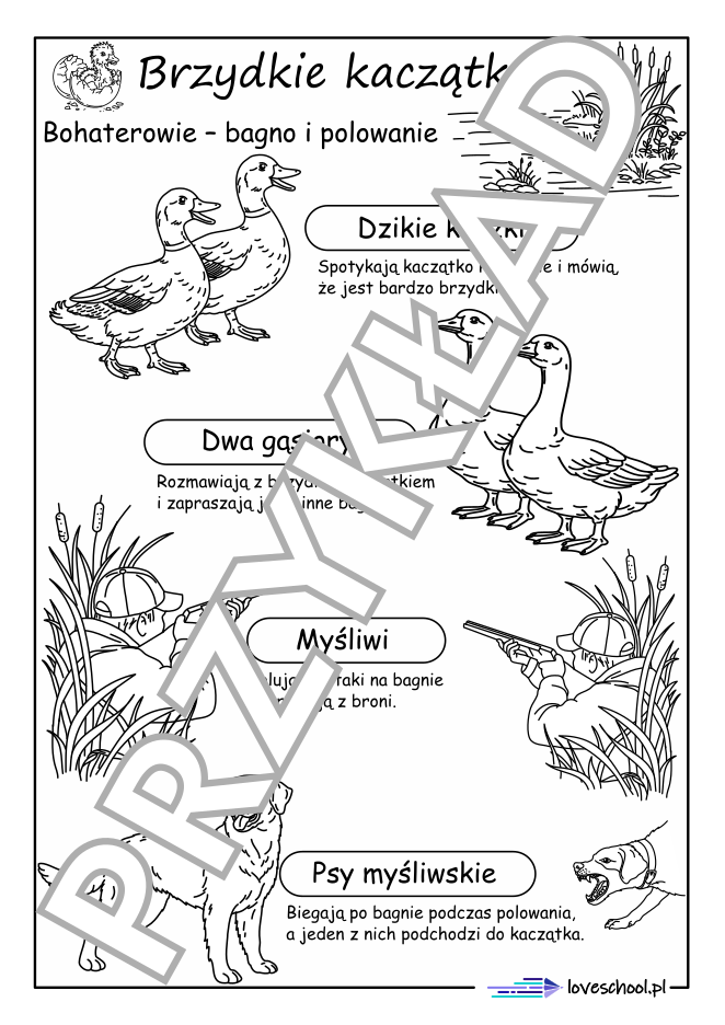 Charakterystyka bohaterów książki "Brzydkie Kaczątko"