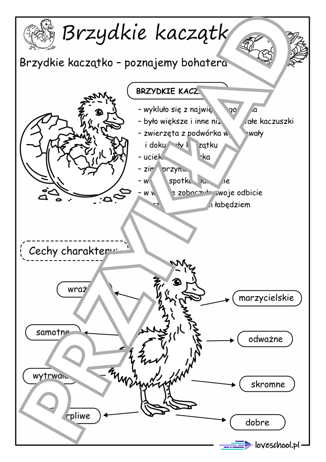 14 Brzydkie kaczątko duże png